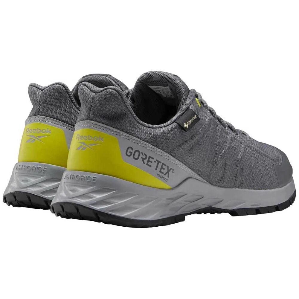 Рибок Gore Tex. Reebok Trail Gore-Tex. Reebok Trail GTX. Reebok Bore TDX. Кроссовки reebok gtx