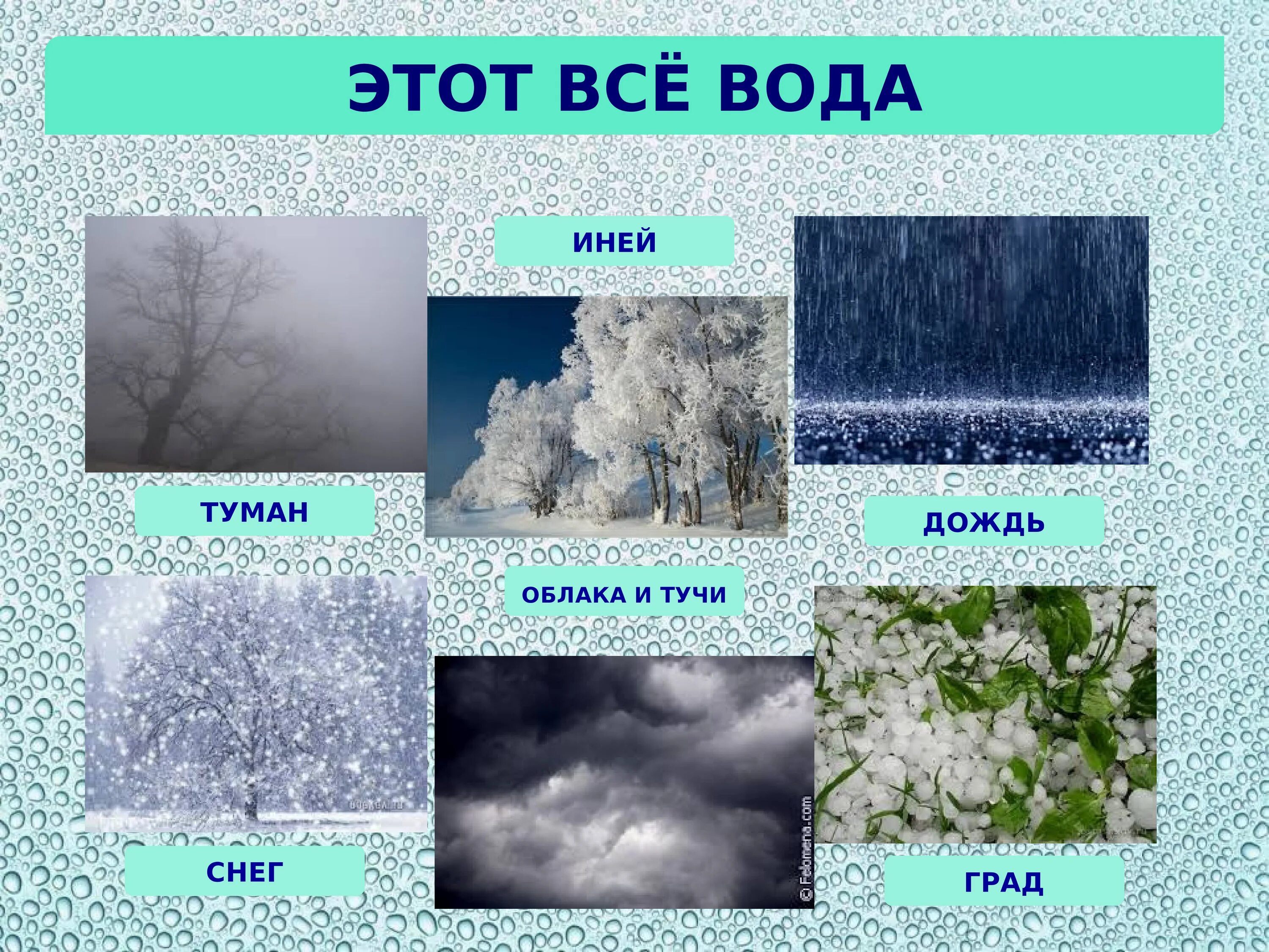 Дождь снег град. Иней это явление природы. Осадки в виде снега. Осадки для детей.