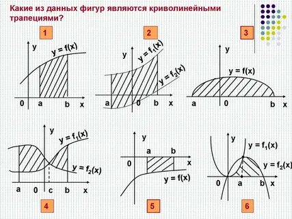 Криволинейная фигура