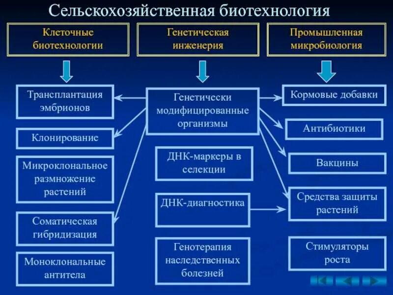 Какова цель генной инженерии. Задачи биотехнологии в сельском хозяйстве. Современные методы биотехнологии. Основные направления биотехнологии таблица. Задачи промышленной биотехнологии.