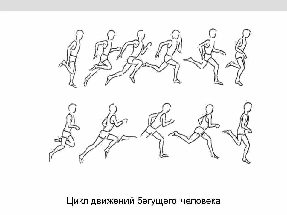 движение человека по кадрам. анимация движения человека. анимация движения человека. анимация движения человека. анимация движения человека.