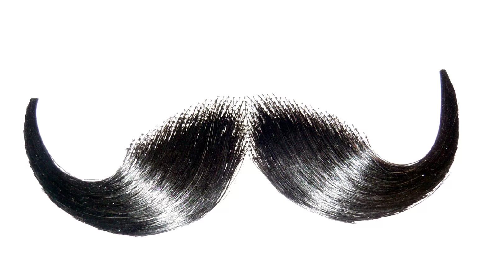 усы картинка. значок усы. усы без фона. усы для фотошопа реалистичные. усы логотип.