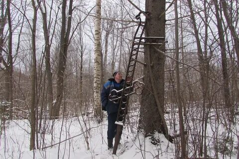 Погода в крестов городище
