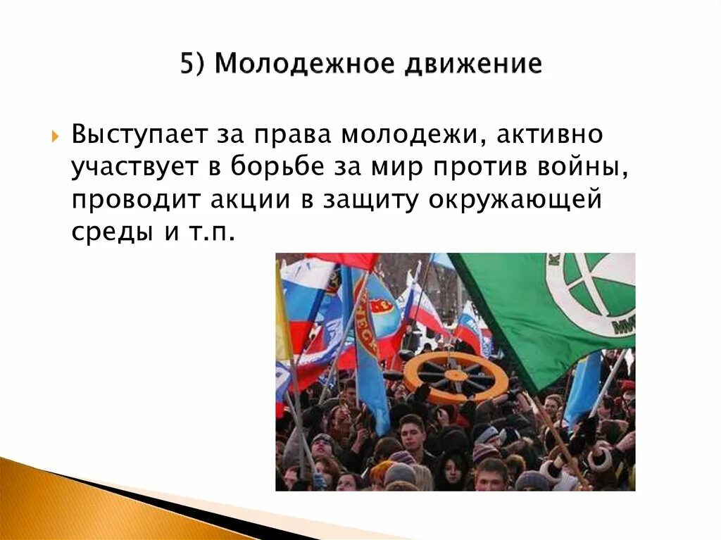 Партии государство общественные движения представляют. Правые молодежные движения. Общественно-политические движения картинки для презентации. Общественно политические движения молодежи. Оборона (молодёжное движение).