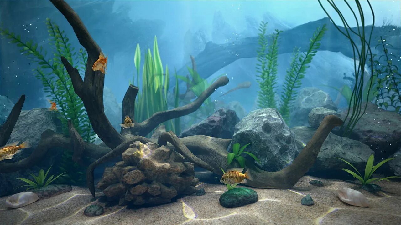 Аквариумный фон. Фон для аквариума. Аквариум 3д. Красивый фон для аквариума. Aquarium 3