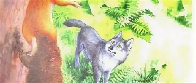 Сказка белка и волк л.н толстой. Басня Льва Николаевича Толстого белка и волк. Иллюстрация к сказке белка и волк толстой. Рисунок к басне белка и волк.