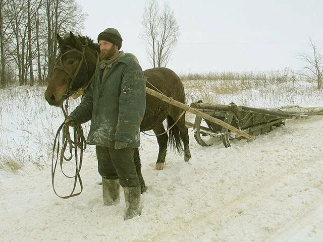 Гужевой скот селян. Крестьянин на телеге. Телега с лошадью. Крестьяне зимой. Мужчина на повозке.