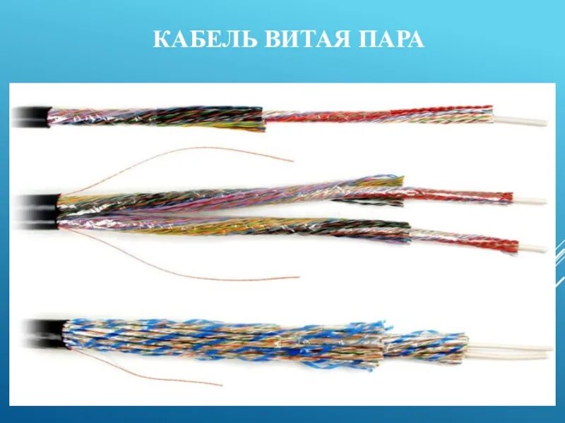 Utp 25 пары. Кабель 25 пар hyperline. utp 50 пар. utp 25x2. utp 50 пар расшивка.
