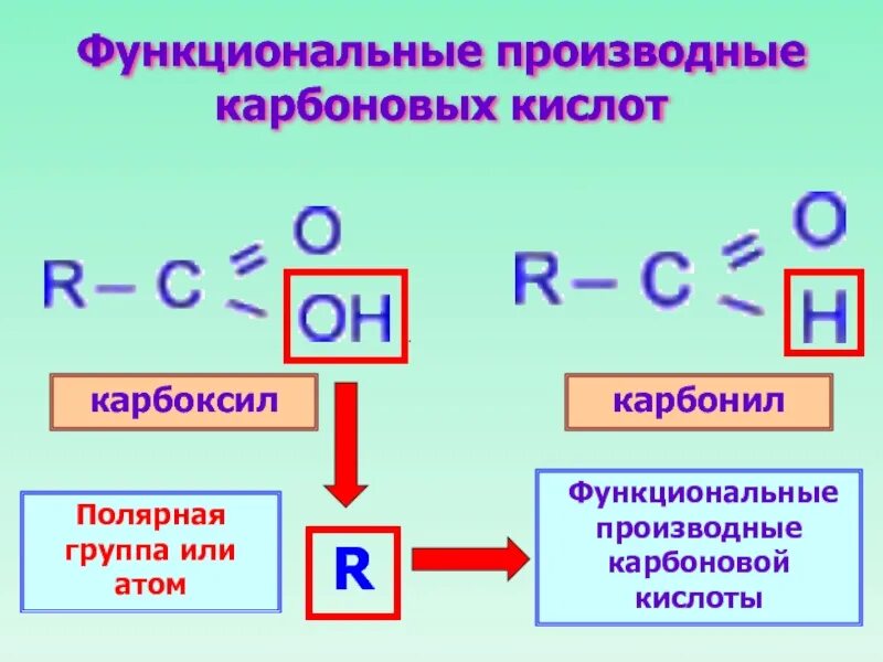 Органические кислоты содержат функциональную группу