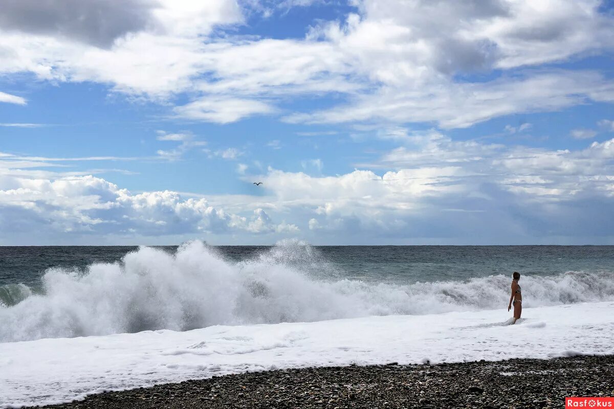 шторм в пицунде сейчас