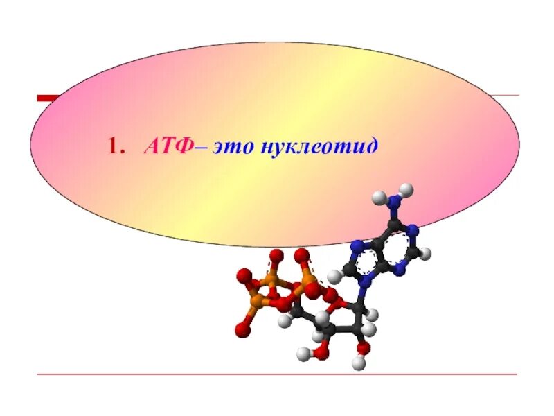 Атф название. Строение молекулы АТФ. Нуклеотид АТФ. АТФ это в биологии. Аденозинтрифосфорной кислоты.