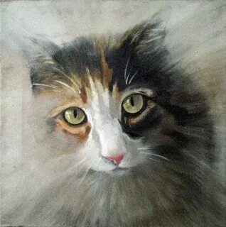 Кошки картины маслом
