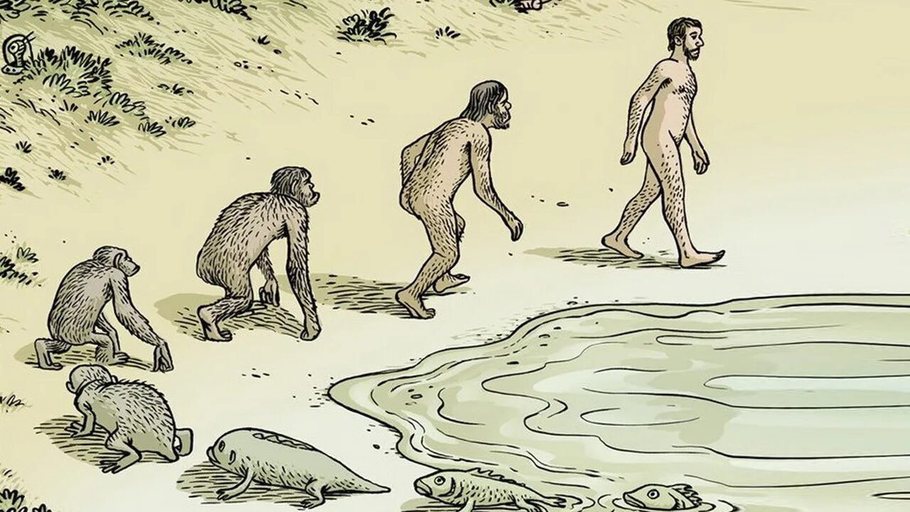 Жизни путем эволюции. Чарльз Дарвин теория эволюции карикатуры. Эволюция прикол. Эволюция человека карикатура. Экология карикатура.