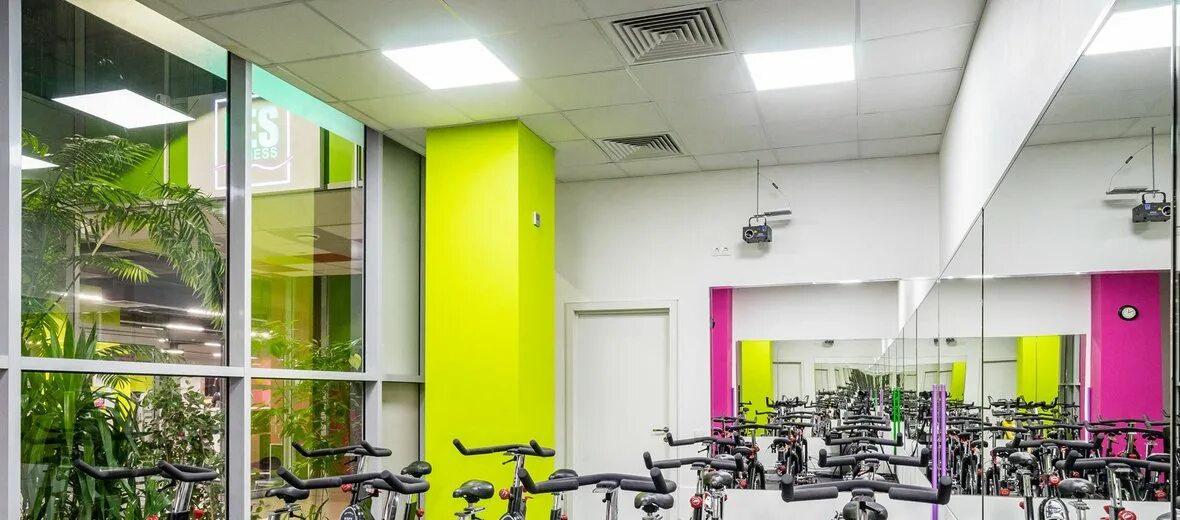 Щелковское шоссе 48. Лес фитнес щелковская. фитнес клуб les москва. алекс фитнес московский проспект. les fitness щелковское шоссе 100.