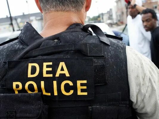 Dea fans. Drug Enforcement Administration. Dea полиция. Отдел Dea. Dea drug Enforcement Administration.