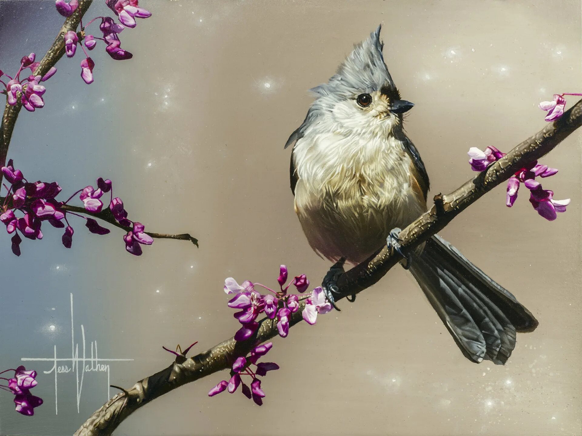 Самая первая птица весной. Весенние птички. Птица на ветке. Птицы весной. Красивые птицы на ветке.