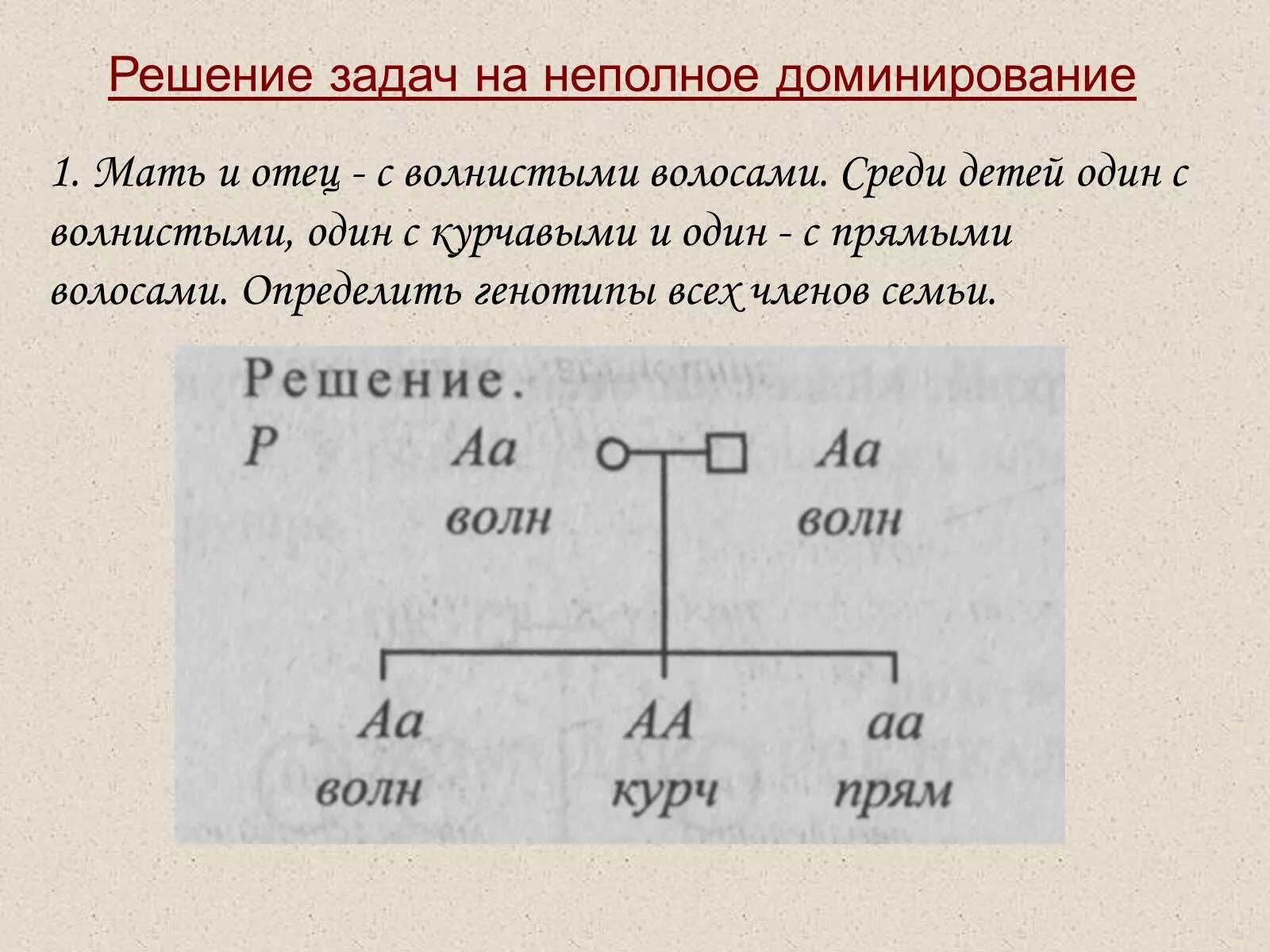 Задачи по генетике. Схема решения задач по генетике. Генетика задачи с решениями. Задача по генетике вьющиеся волосы. Кудрявые волосы рецессивный