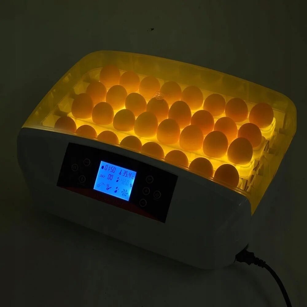 Инубатор hgg56. Инкубатор для яиц Egg incubator. Инкубатор для Delvotest incubator Mini s. Mini Egg incubator 56.