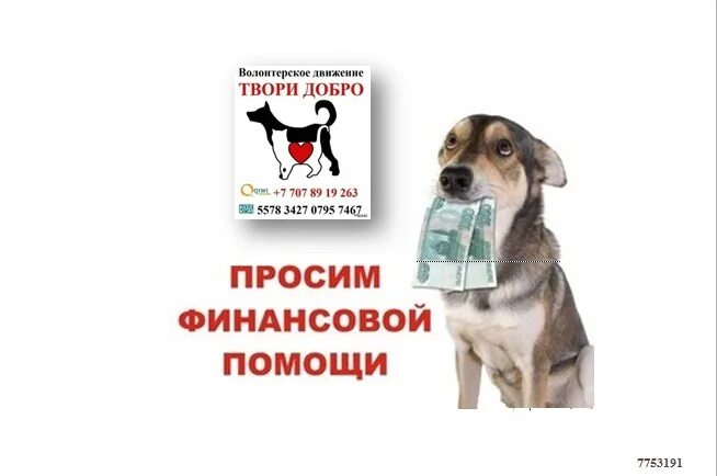 Твори добро из рекламы мтс. Твори добро волонтерское движение. волонтеры добро. твори добро волонтерств. твори добро волонтерская деятельность.