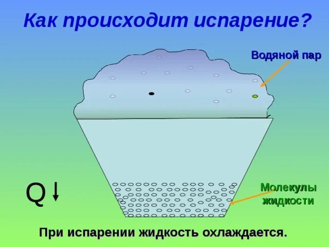 Какая наука изучает испарение воды. Как происходит испарени. Как происходит испарение. В процессе испарения воды что происходит?. Как происходит парообразование.