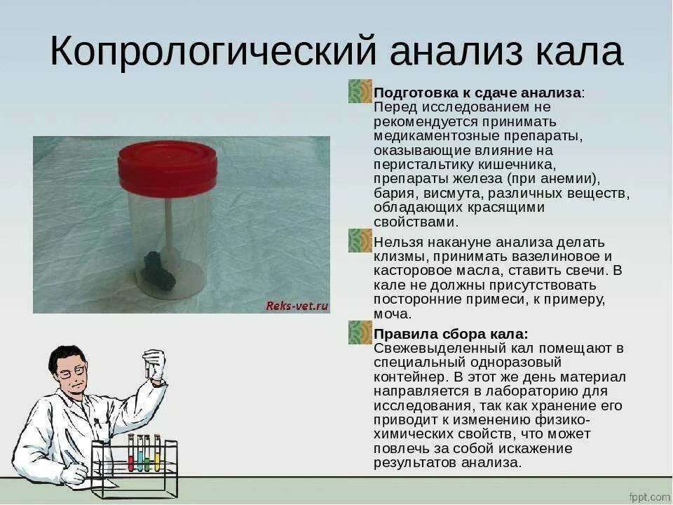 Сколько надо сдавать мочи. Как правильно сдать кал на анализ ребенку. Анализ кала как правильно собрать. Сколько нужно кала для сдачи анализов. Емкость для обследования кала на копрограмму.