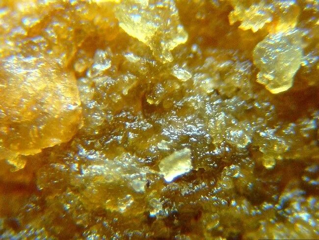 Хлористое золото. Кошачий корм под микроскопом. Кристаллы меда. Мёд под микроскопом как выглядит.