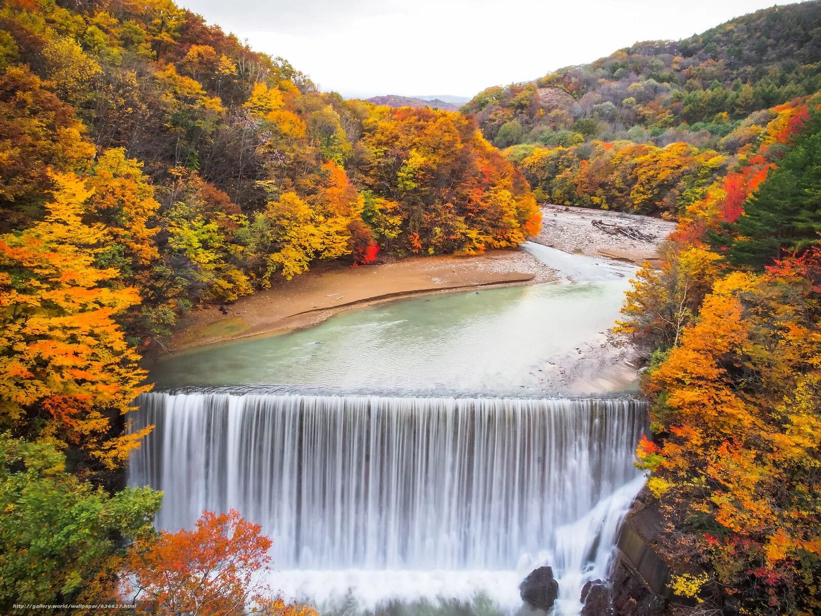 Fall in. Autumn hart. Fall in love казань. Fall in. осенний белград обои.