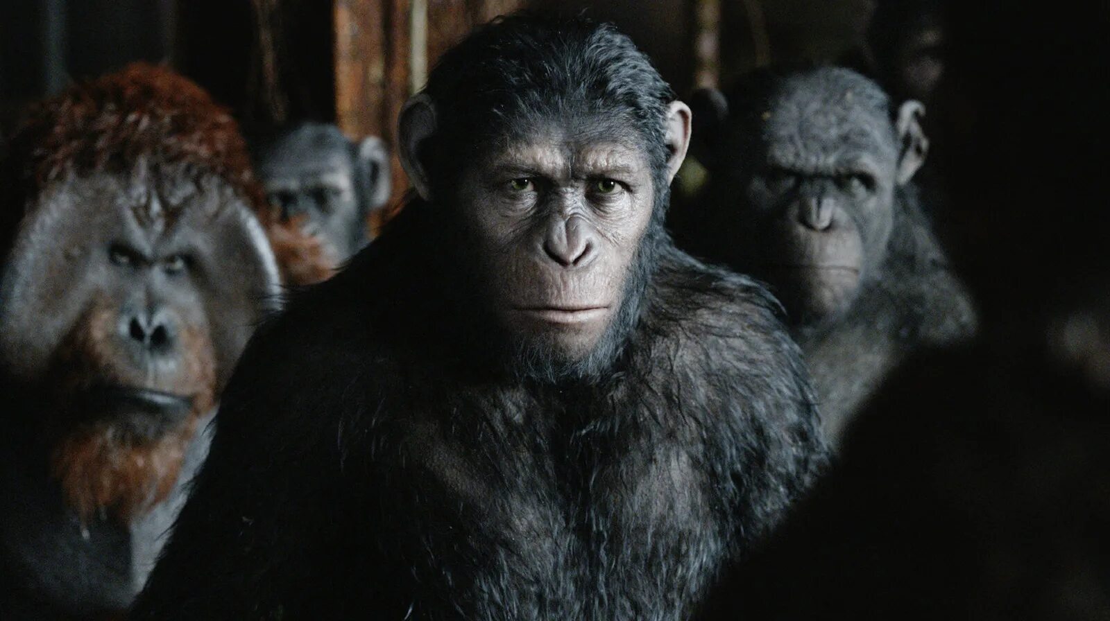 планета обезьян: война фильм 2017. планета обезьян 1 на русском. планета обезьян 2001 постер. планета обезьян 2011. планета обезьян война фильм.