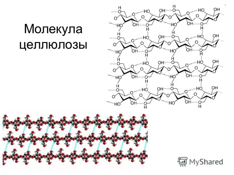 элементарное звено целлюлозы схема. строение целлюлозного волокна. две молекулы глюкозы соединенные гликозидной связью. химическая структура целлюлозы. молекула полисахарида формула.