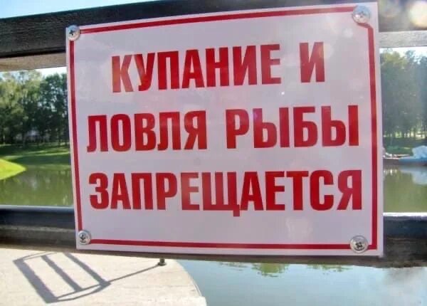 Запрет на рыбалку в казахстане 2024 году. Рыбалка запрещена табличка. Ловля рыбы запрещена табличка. Лов рыбы запрещен табличка. Вывеска рыбалка запрещена.