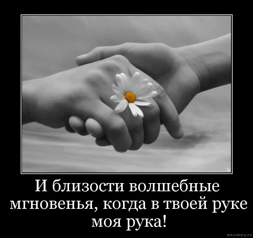 Любовь твоей жизни. Ценность жизни и любви. ценности жизни. любовь как ценность жизни. любовь всей твоей жизни.