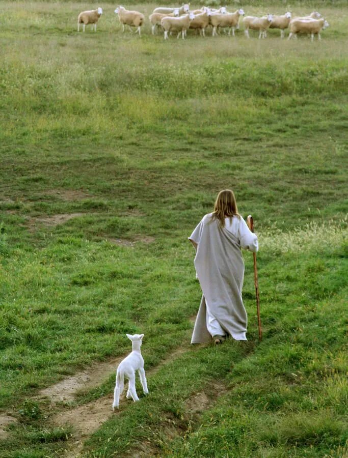 Господь Пастырь. Господь Пастырь мой. Следуй за Иисусом. Господь Пастырь мой я ни в чем не буду нуждаться.