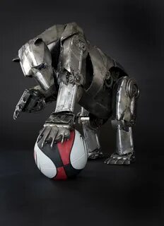 Robo bear