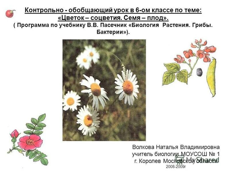 насекомые презентация. животные (обобщающий урок). цели обобщающего урока. урок биологии по теме грибы 5 класс. что такое обобщающий урок по биологии.