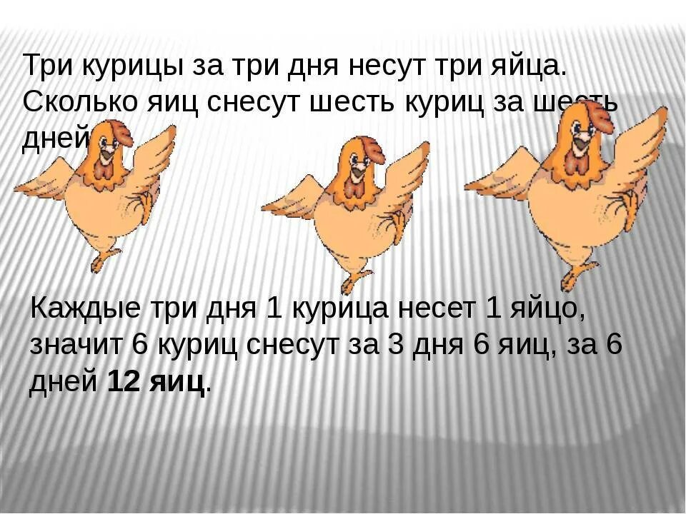 Несушки сколько яиц в день. Сколько яиц несет курица в день. Скольео курица несёт яиц. Три курицы. Сколько яиц несет курица Несушка.