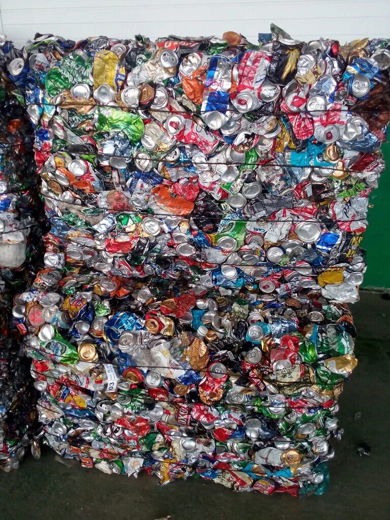 Тюменский мусоросортировочный завод тюмень. Жуки перерабатывающие пластик. Мурманск мусоросортировочный завод. Переработка мусора. Мусоросортировочный комплекс в междуречье.