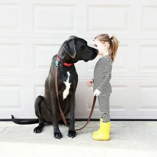 Sarah love for animals started