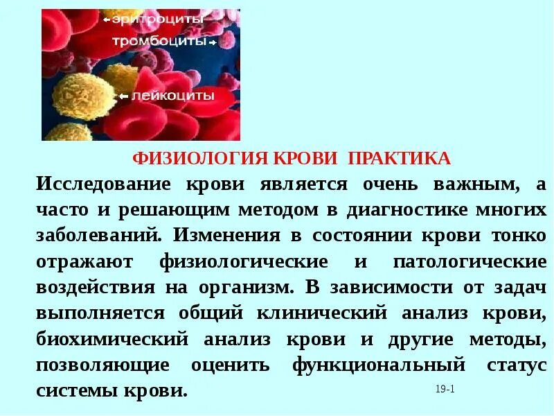 Задачи заболевание крови. Клинико-физиологические методы исследования крови. Клинико физиологические методы исследования крови физиология. Исследование крови - это физиология. Физиология крови презентация.