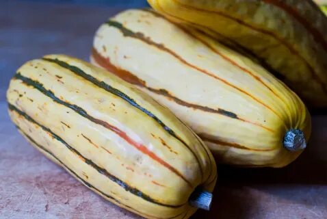 Squash vegetable