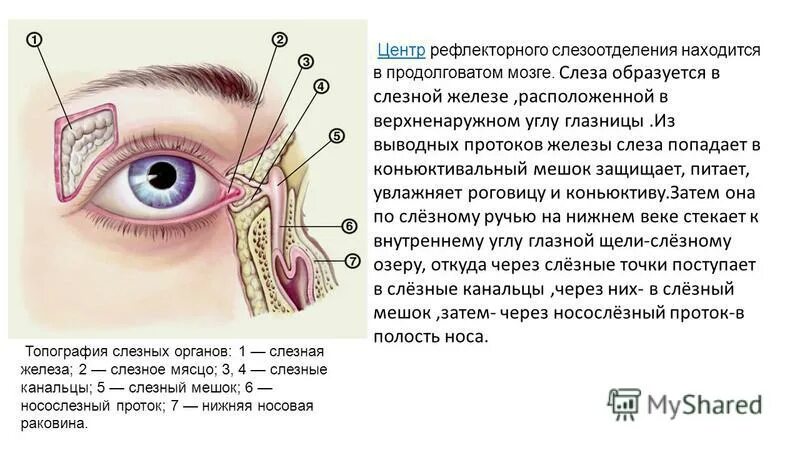 Как пробивают слезный канал