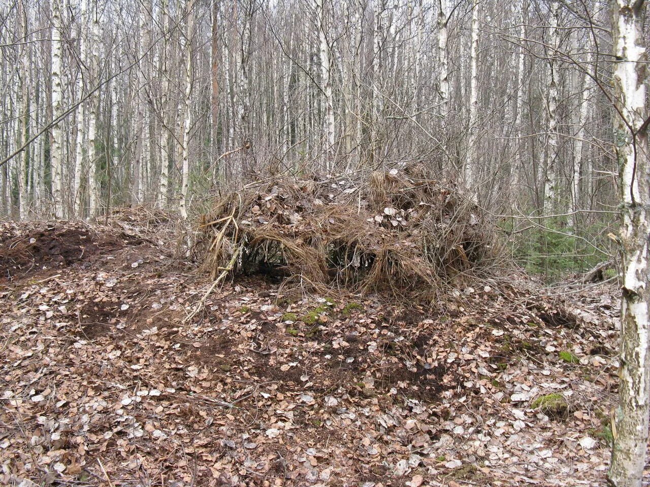 Замаскированный или замаскированы. Скрадок для весенней охоты. Скрадок землянка. Засидка скрадок кряква. Зеркальный скрадок для охоты на утку.