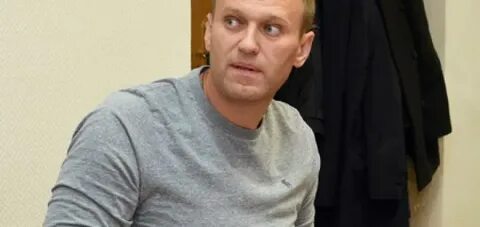 Следователь навального