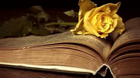 Книга желтая страница