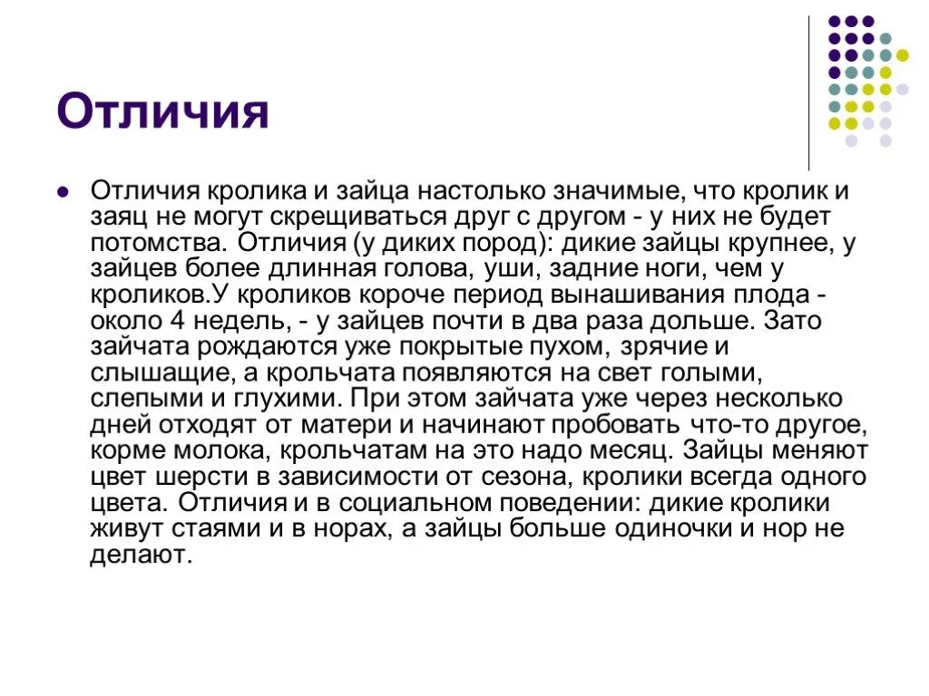 Что человек получает от кролика. Чем отличается кролик от зайца. Отличие зайца от кролика. Чем отличаются кролики от Зайцев. Чем отличается зая от кроликк.