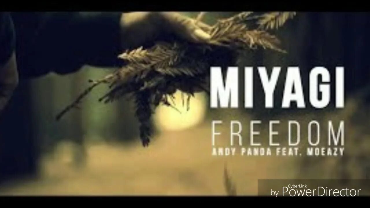 Обои мияги i xcho. Miyagi freedom. Мияги на концерте. Мияги фридом. Энди панда картинки из клипа.