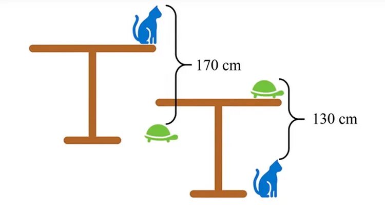Задача высота стола. Китайская задача для школьников. Китайские задачи по математике для школьников. Задачи китайских школьников в картинках. Задача китайская школа.
