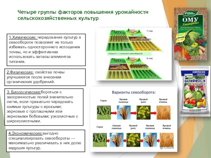 Чередование культур в севообороте в сельском хозяйстве. Проектирование севооборотов. - Функции севооборота.. Предшественники сельскохозяйственных культур в севообороте.