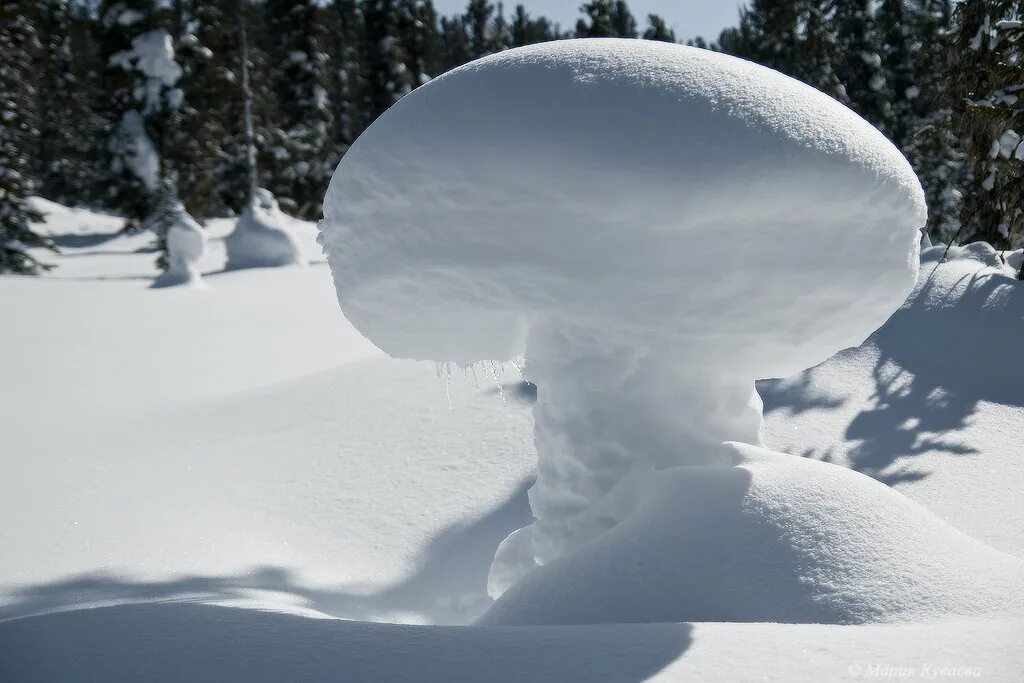 Снежные сугробы. Причудливые фигуры из снега. Снежные шапки на деревьях. Необычные сугробы. Сугроб с глазами