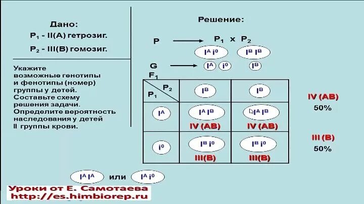 Группа крови задание. Задачи на группы крови и резус-фактор. Задача по генетике на группу крови и резус-фактор. Решение задач на группы крови. Задачи на генетику группа крови и резус-фактор.