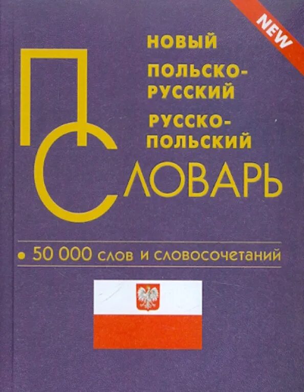 Русско польский. Русско польский. Польский словарь. Польско-русский разговорник. Польский язык.